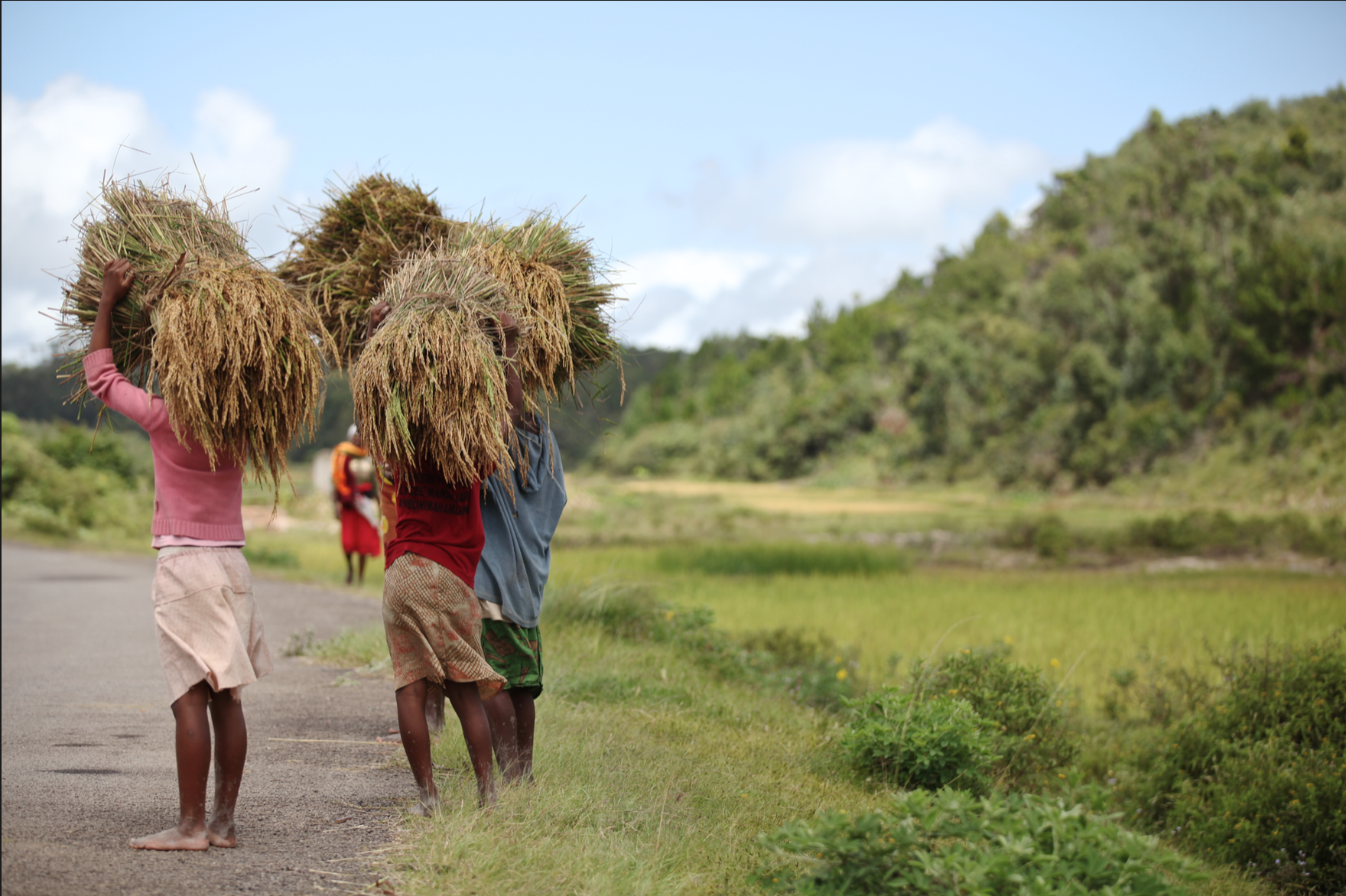 Courtesy of Good People,https://www.goodpeople.fr/ 