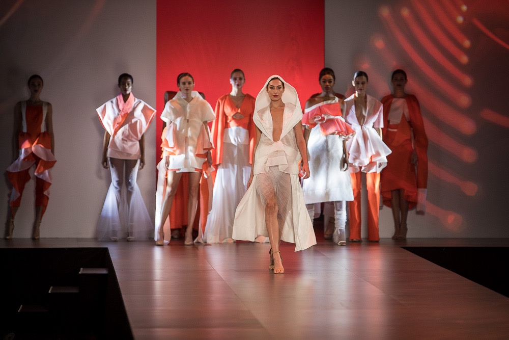 17045j Debut 2017 Fashion Design,  Peivand Mirzaie