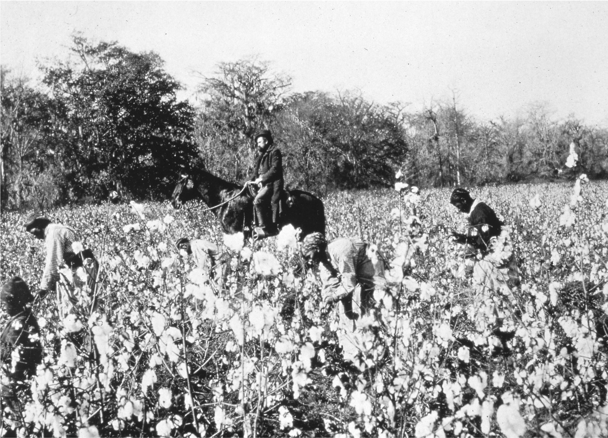 Fashion Culture | The Cotton Factory – ‘the Good, the Bad and the Ugly’